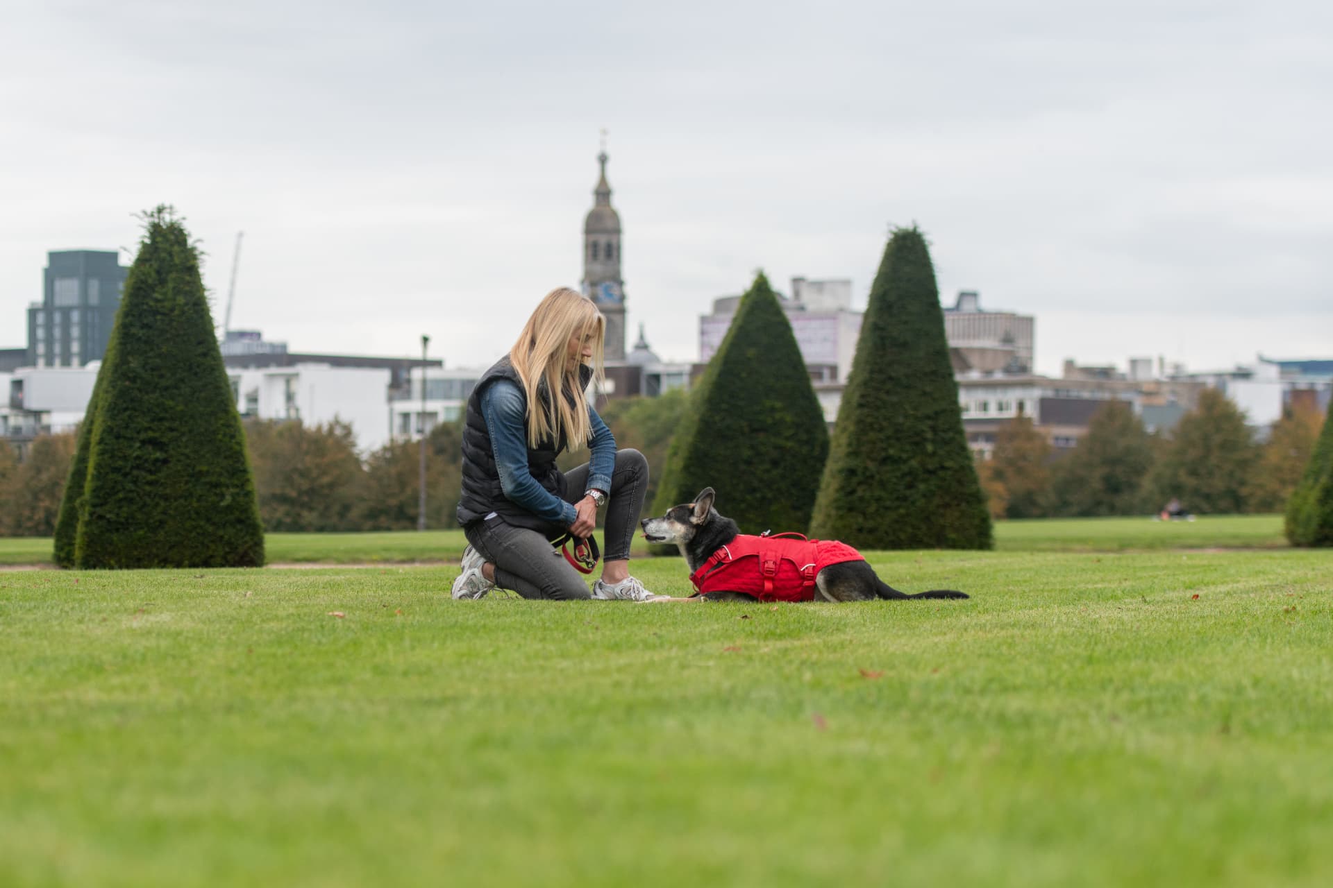 Behaviour consultant working at the dog's level with a dog in a red coat in Glasgow