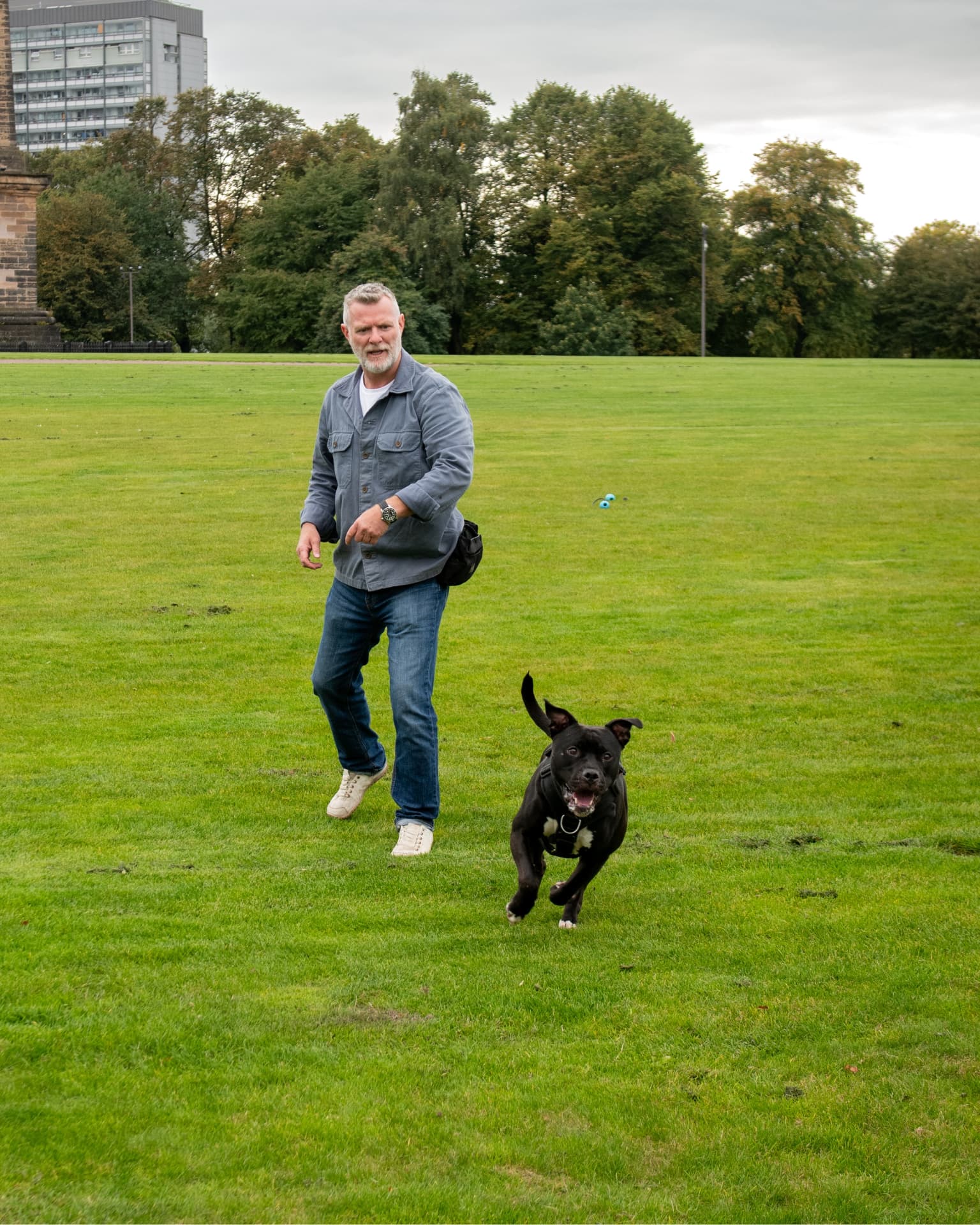 Dog trainer holding a dog's attention in open parkland in Glasgow