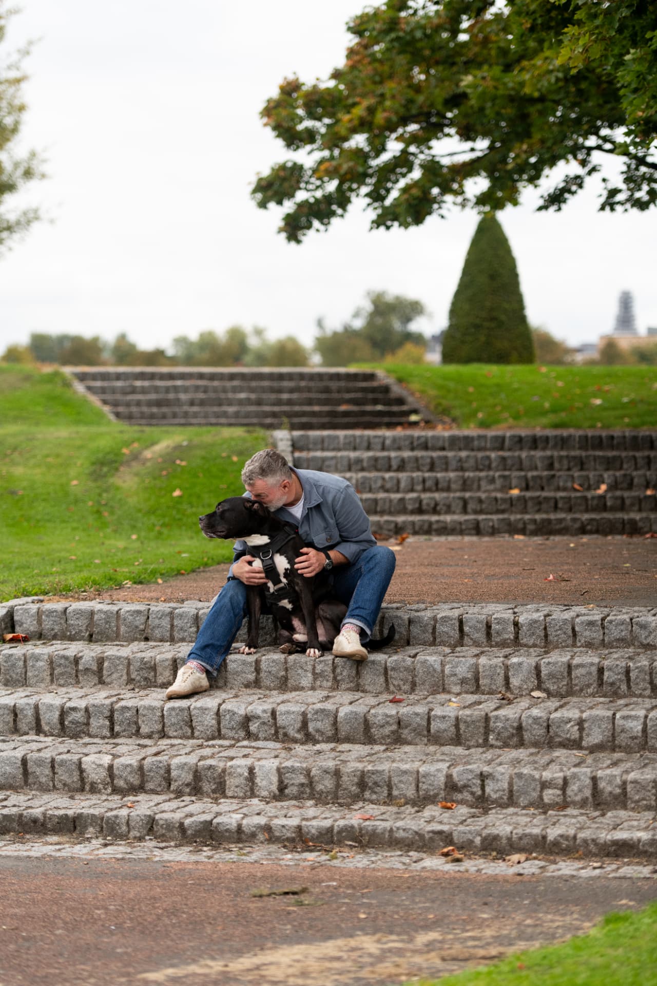 Dog choosing to stay close to its trainer on park steps in Glasgow