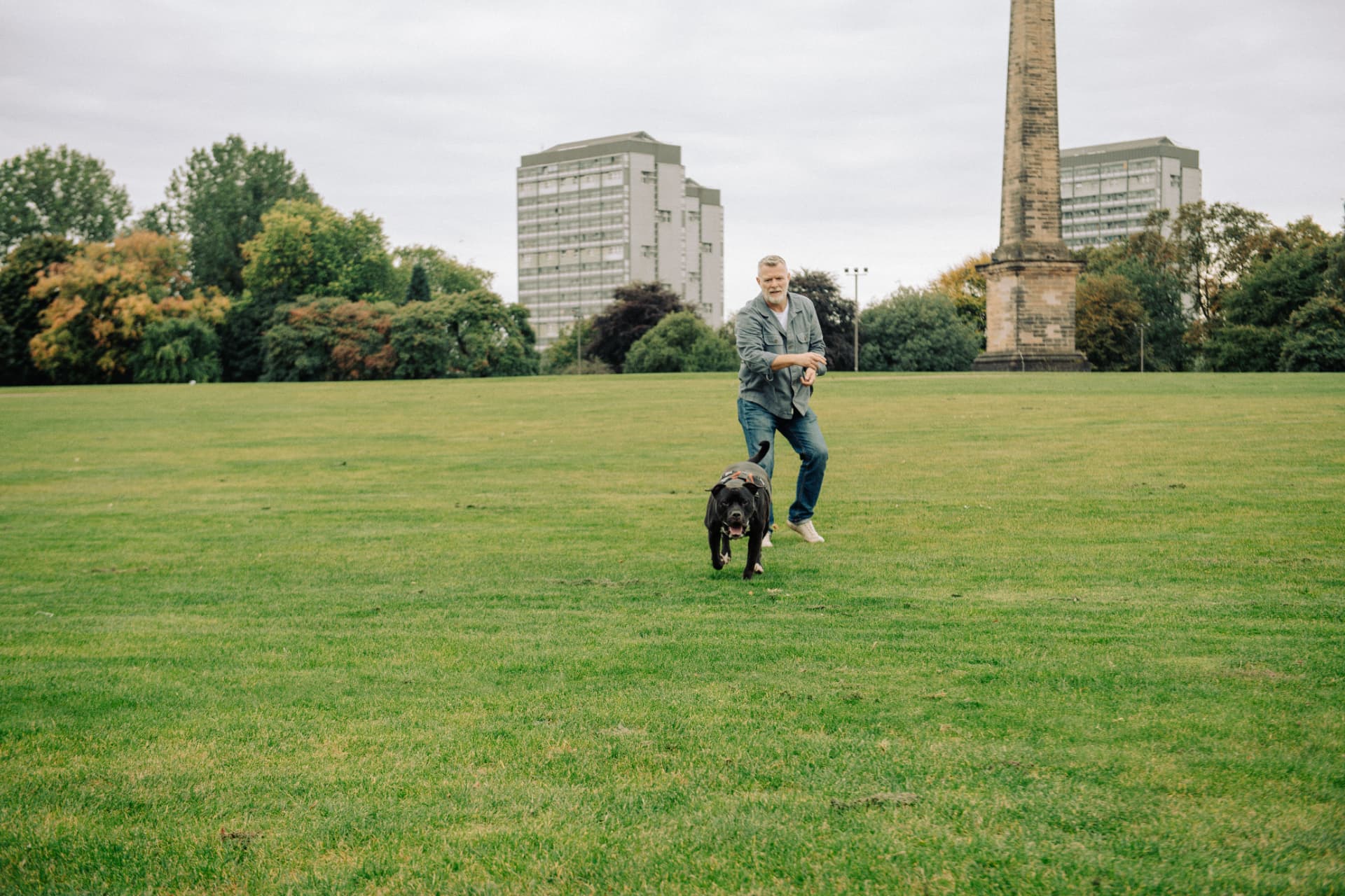 Dog training in a Glasgow park with city tenements and flats behind