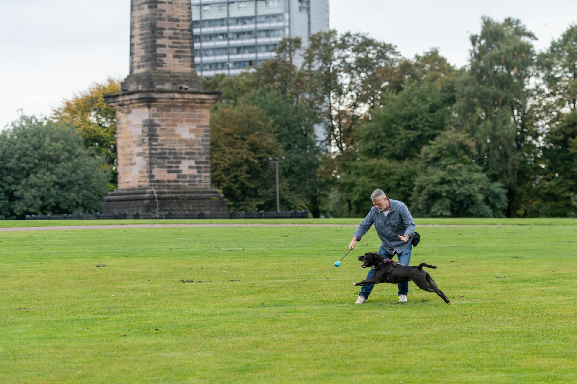 Dog trainer playing with a black Labrador to build engagement during a Glasgow training session