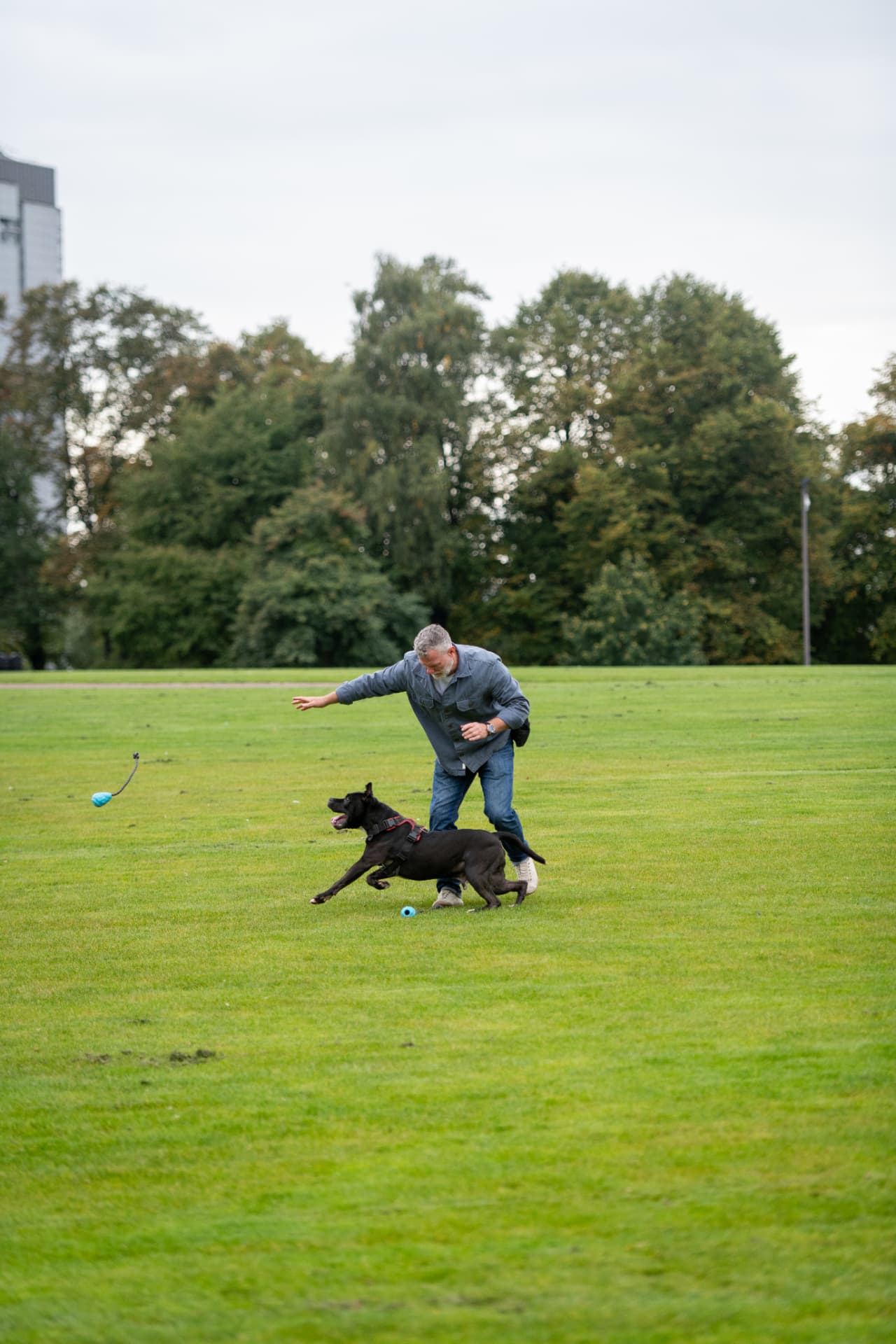 Force-free dog training session beside the Glasgow Green obelisk