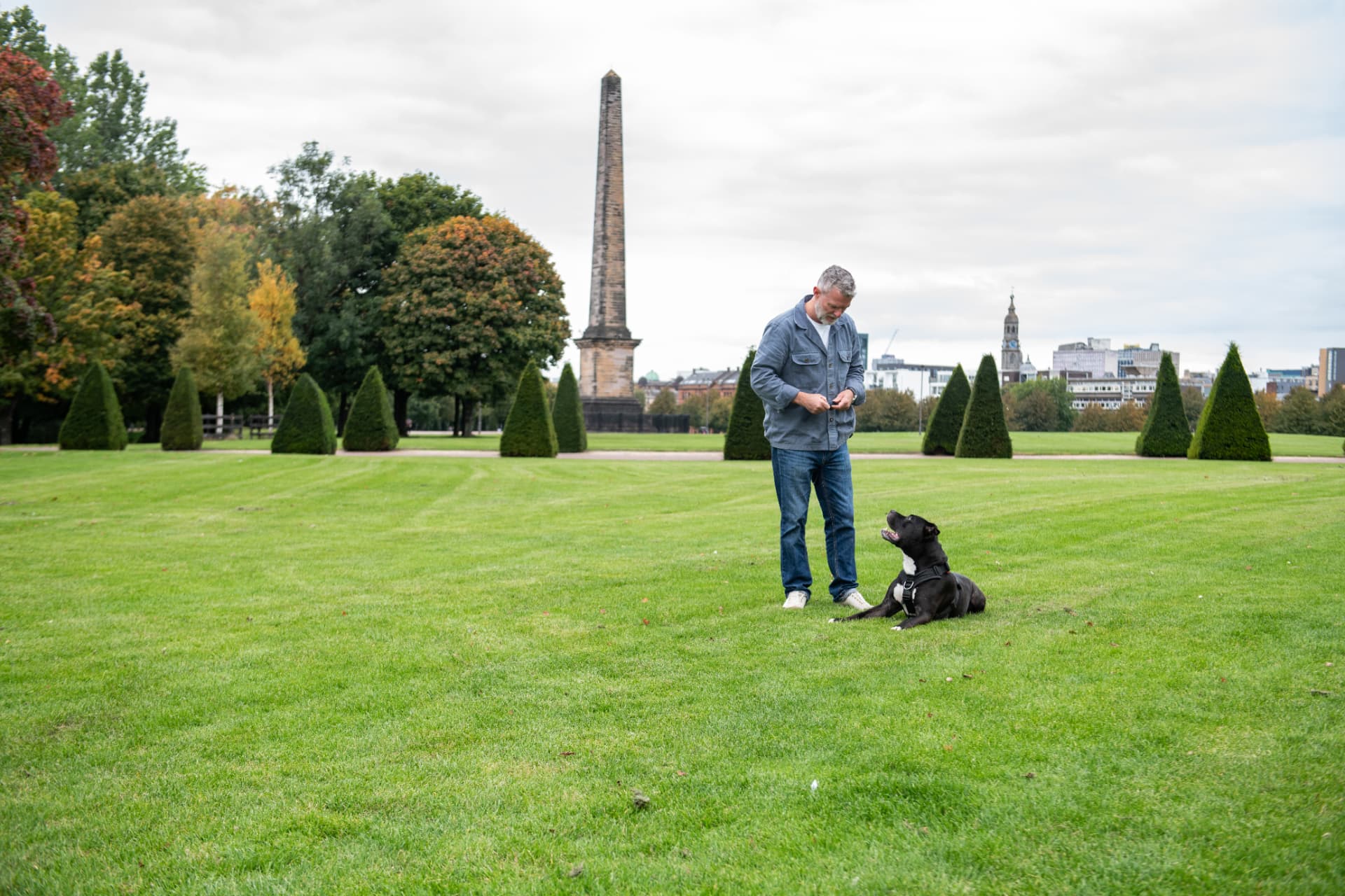 Dog responding to a cue in a down position during obedience training in a Glasgow park